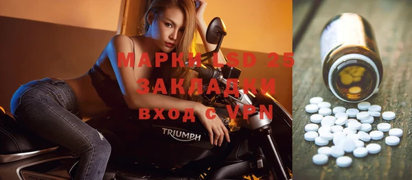 индика Медногорск