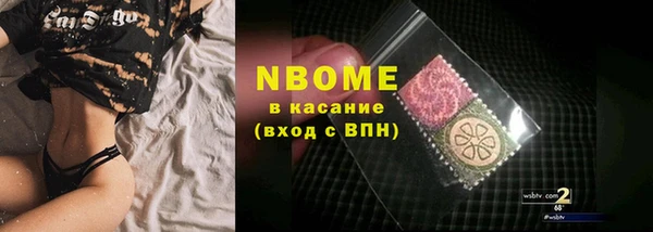 индика Медногорск