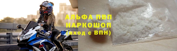 индика Медногорск