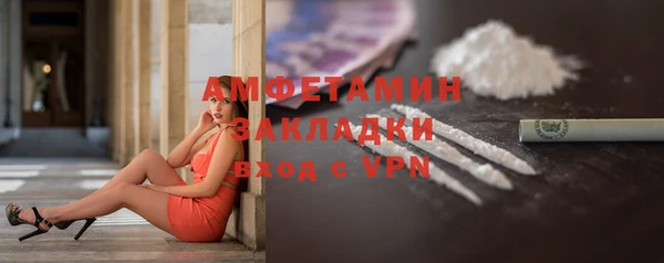 индика Медногорск