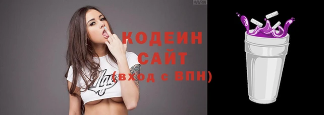 индика Медногорск