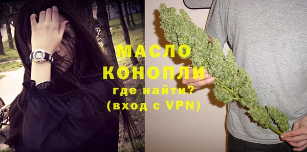 индика Медногорск