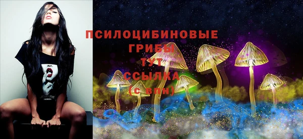 соль ск Мегион