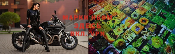 mdpv Медвежьегорск