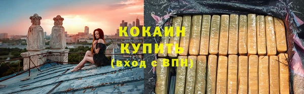 индика Медногорск