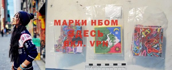 индика Медногорск