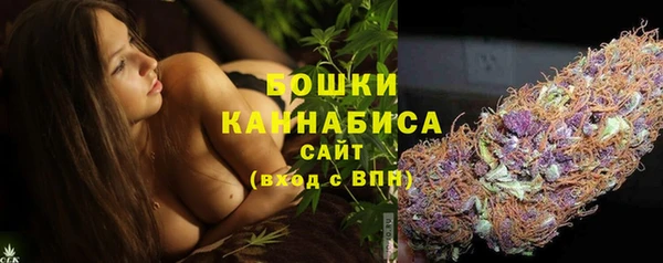 mdpv Медвежьегорск