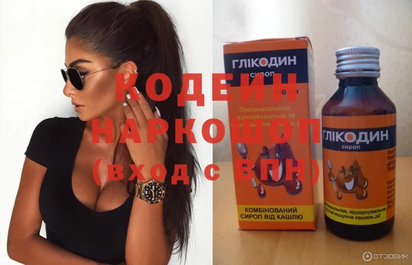 индика Медногорск