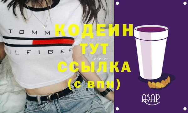 индика Медногорск