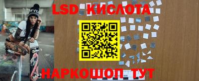 стаф Нальчик