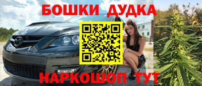 крисы Бийск