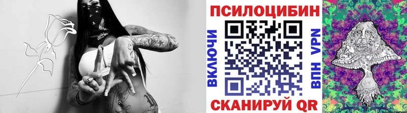 Псилоцибиновые грибы Cubensis  где купить наркоту  Тында 