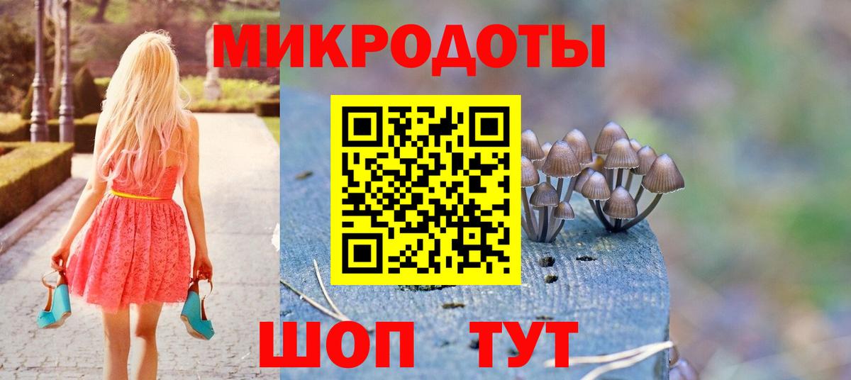 хочу наркоту  Вход с VPN  Галлюциногенные грибы мицелий  Тында  Галлюциногенные грибы Cubensis 
