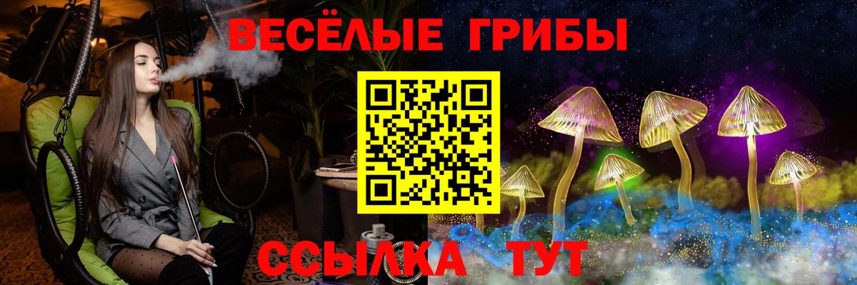 Галлюциногенные грибы GOLDEN TEACHER Тында